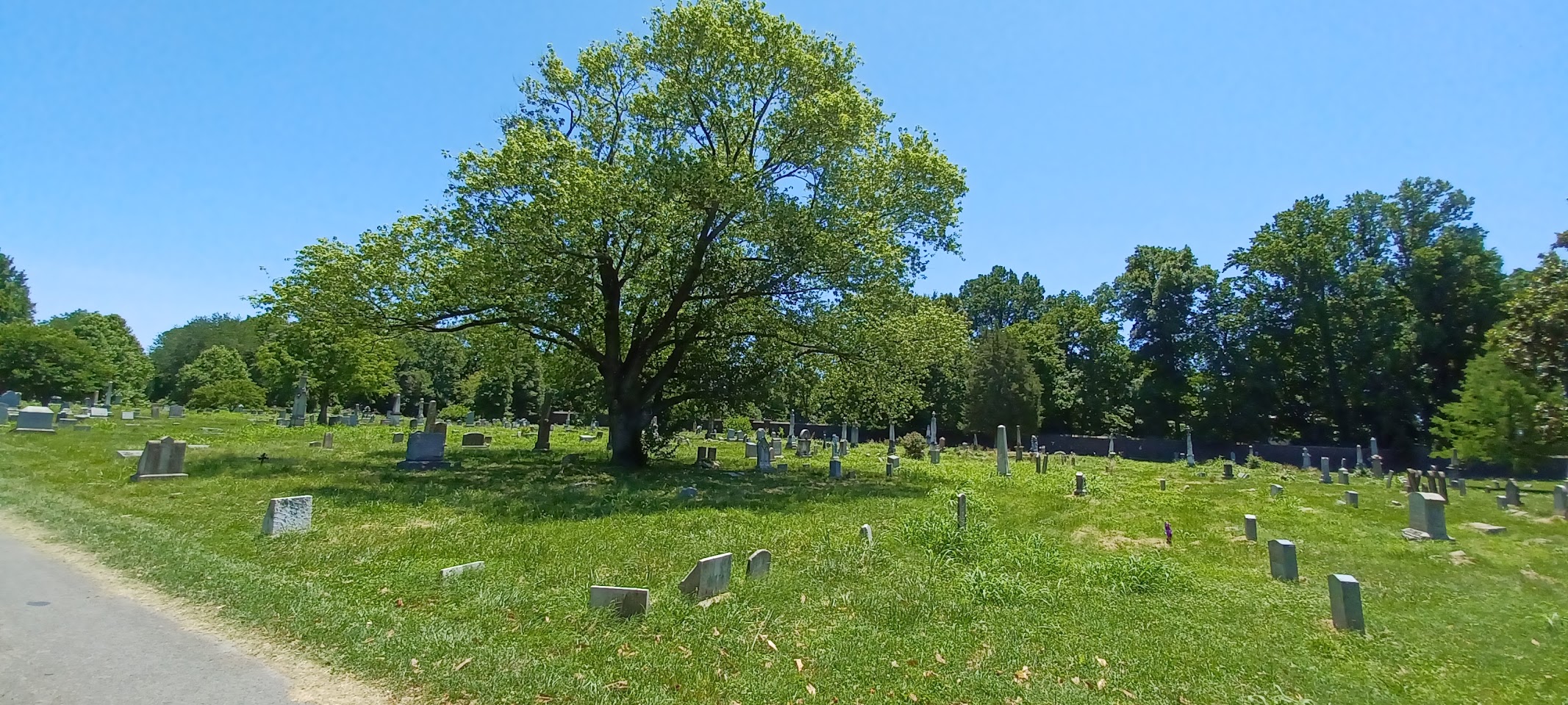 Eastern Cemetery photo 6